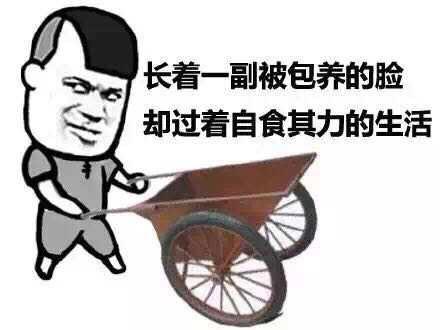 主要看氣質(zhì)，10款高顏值A(chǔ)PP帶你一起奔小康
