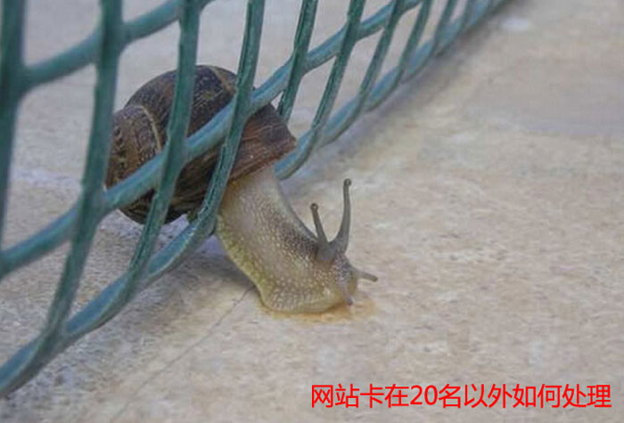 20名之外的網(wǎng)站進(jìn)百度首頁的“推動寶典”