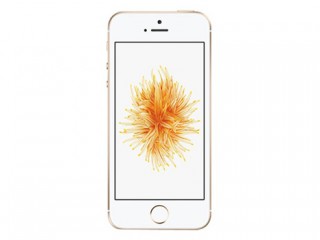 iPhoneSE怎么開(kāi)啟兩步驗(yàn)證？蘋(píng)果iPhoneSE兩步驗(yàn)證開(kāi)啟方法