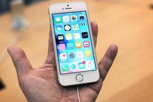 禍起蕭墻！低價iPhone SE拖累高端iPhone6s銷量