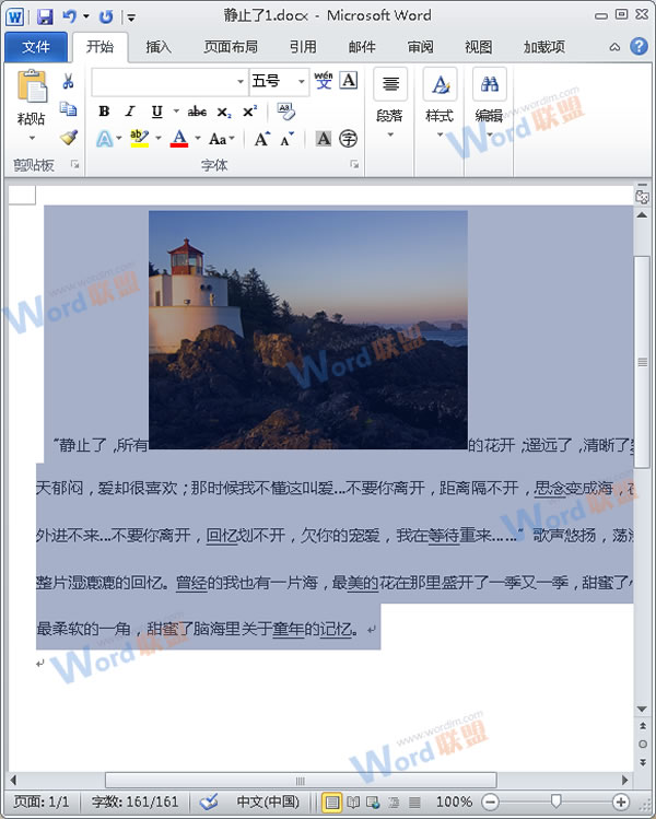 怎么把Word的內(nèi)容以圖片格式插入到Excel2010中？