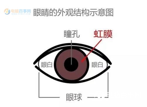 虹膜識(shí)別和眼紋識(shí)別哪個(gè)好？虹膜識(shí)別和眼紋識(shí)別的區(qū)別