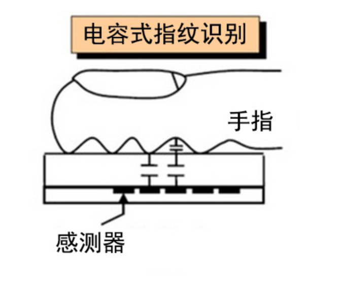 手機(jī)指紋識(shí)別有幾種？聊聊手機(jī)指紋識(shí)別那些事