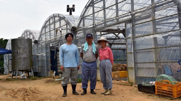 機(jī)器或能替代人類分揀黃瓜 人工智能真的無所不能么？