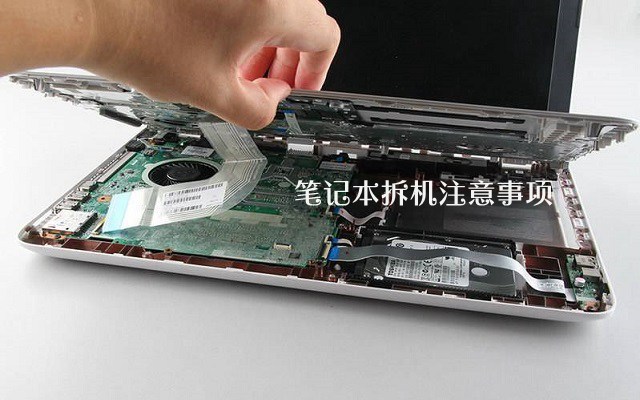 筆記本電腦拆機注意事項 新手怎么拆解筆記本電腦？