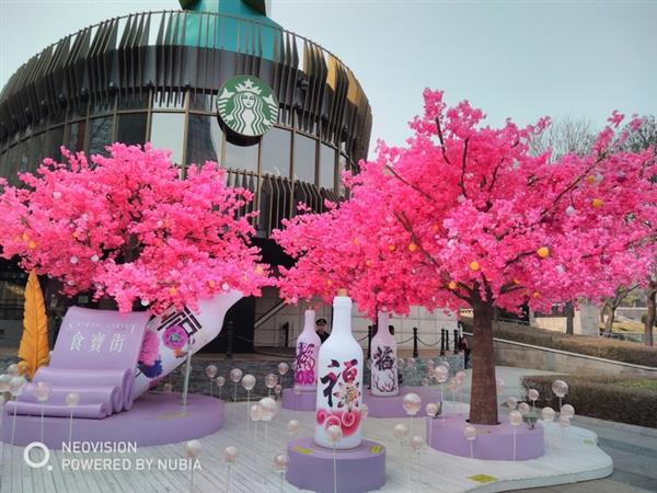 千元機(jī)拍照專家！努比亞V18評(píng)測(cè)：全面屏長(zhǎng)續(xù)航