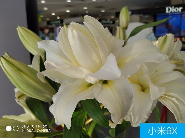 聯(lián)想Z5、小米6X、魅藍(lán)E3拍照對(duì)比評(píng)測(cè) 千元機(jī)相機(jī)對(duì)決