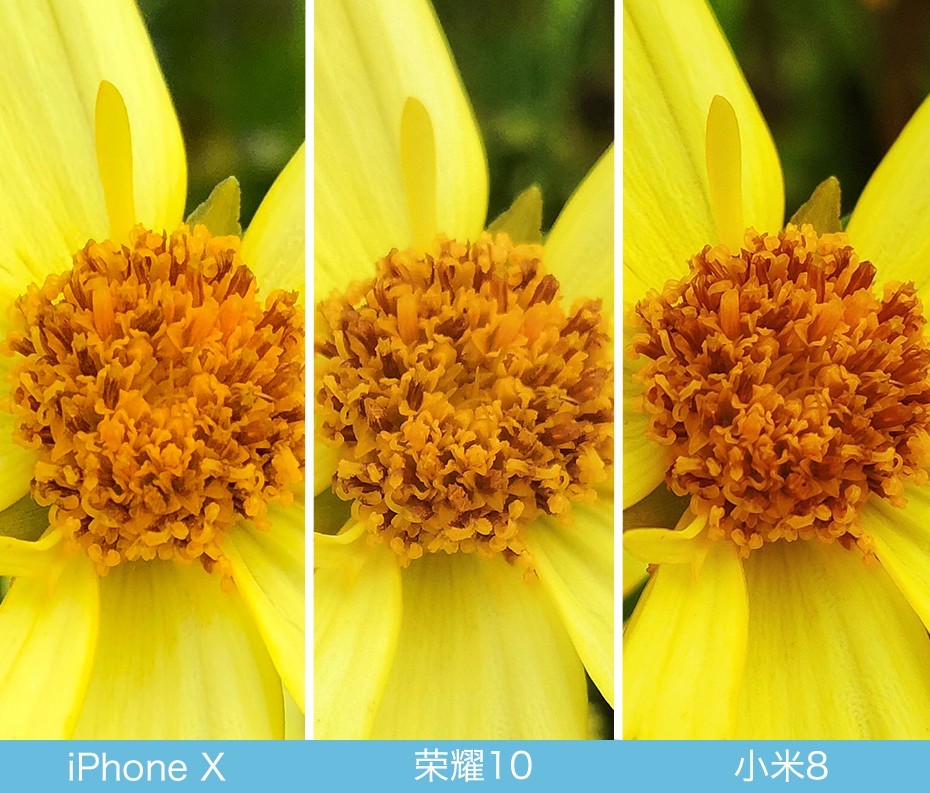 iPhone X、榮耀10、小米8拍照對比評測 蘋果秒殺一切？