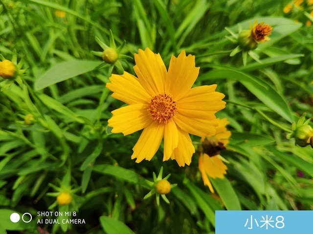 魅族16、小米8、榮耀Note10拍照對(duì)比評(píng)測 國產(chǎn)旗艦相機(jī)對(duì)決