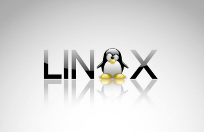 linux服務器下pptp搭建vpn代理上網(wǎng)很慢的解決辦法