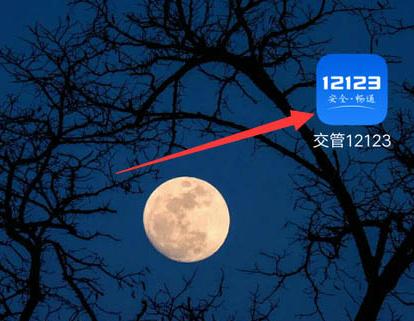 交管12123檢驗(yàn)合格標(biāo)志電子版在哪里查看？