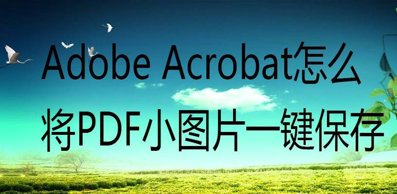 Acrobat怎么批量保存PDF小圖片？adobe Acrobat一鍵保存pdf小圖片的技巧